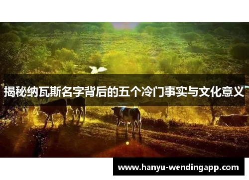 揭秘纳瓦斯名字背后的五个冷门事实与文化意义