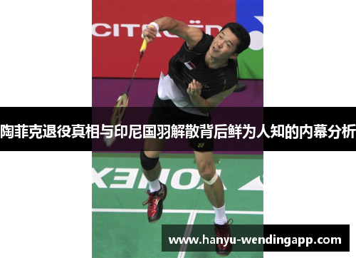 陶菲克退役真相与印尼国羽解散背后鲜为人知的内幕分析