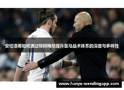 安切洛蒂如何通过琼阿梅尼提升皇马战术体系的深度与多样性