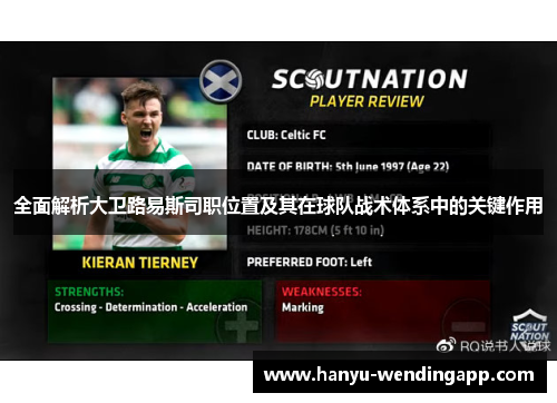 全面解析大卫路易斯司职位置及其在球队战术体系中的关键作用 全面解析大卫路易斯司职位置及其在球队战术体系中的关键作用
