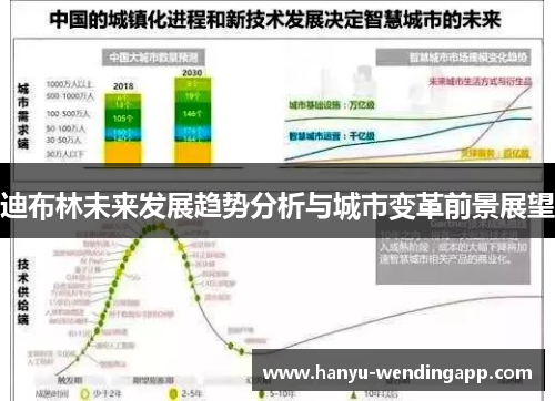 迪布林未来发展趋势分析与城市变革前景展望