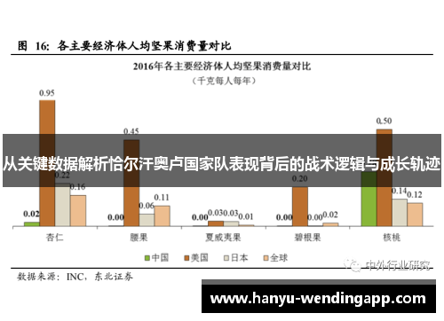 从关键数据解析恰尔汗奥卢国家队表现背后的战术逻辑与成长轨迹