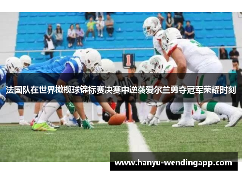 法国队在世界橄榄球锦标赛决赛中逆袭爱尔兰勇夺冠军荣耀时刻