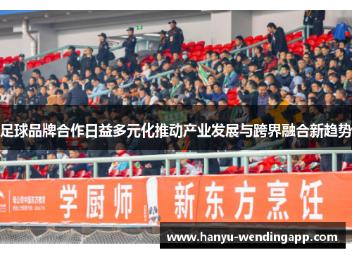 足球品牌合作日益多元化推动产业发展与跨界融合新趋势 足球品牌合作日益多元化推动产业发展与跨界融合新趋势