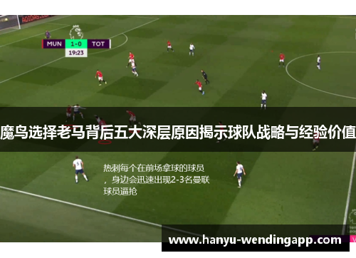魔鸟选择老马背后五大深层原因揭示球队战略与经验价值